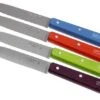 Set Of 4 Opinel Paring Knives N°112 Pop 1 Set Of 4 Opinel Paring Knives N°112 Pop -Knives and Tools OP001381 01 opinel tafelmesset op001381 01