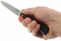 Opinel Table Knife Bon Appétit, No 125, Black -Knives and Tools OP001593 04 opinel tafelmes bon appetit zwart op001593 d4