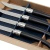Opinel 4-piece Steak Knife Set, Birch Wood 1 Opinel 4-piece Steak Knife Set, Birch Wood -Knives and Tools OP001827 01 opinel steakmesset ebbenhout op001827 01