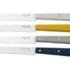 Opinel Bon Appetit 2040 Celestial, 4-piece Table Knife Set -Knives and Tools OP002040 01 opinel
