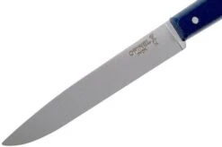 Opinel Table Knife Bon Appétit, N°125, Blue -Knives and Tools OP002042 03 opinel op002042 03