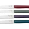 Opinel Bon Appetit+ 2197 Glam, 4-piece Table Knife Set -Knives and Tools OP002197 01 opinel