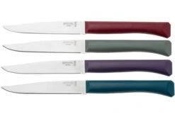 Opinel Bon Appetit+ 2197 Glam, 4-piece Table Knife Set