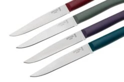 Opinel Bon Appetit+ 2197 Glam, 4-piece Table Knife Set -Knives and Tools OP002197 03 opinel