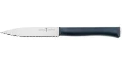 Opinel Intempora Serrated Utility Knife No. 226, 10 Cm