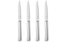 Opinel Perpetue, 002447, 4-piece Table Knife Set, Micro-serrated Blade