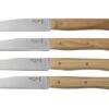 Opinel Facette Ash, Kitchen Knife Set 4 Pieces -Knives and Tools OP002496 01 opinel 1
