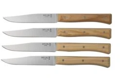Opinel Facette Ash, Kitchen Knife Set 4 Pieces