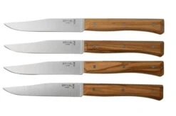 Opinel Facette Olive, 4-piece Table Knife Set