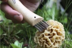 Opinel Mushroom Knife N ° 08 15 Opinel Mushroom Knife N ° 08 -Knives and Tools OP08 06 opinel champignonmes op08 08 1