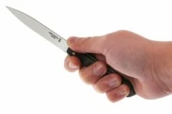 Opinel 001452 Les Essentiels : Fifties