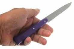 Opinel T001532, Steak Knife Set, Esprit Pop 11 Opinel T001532, Steak Knife Set, Esprit Pop -Knives and Tools OPT001532 04 opinel tafelmesset esprit pop opt001532 d4