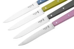 Opinel T001533, Steak Knife Set, Esprit Campagne -Knives and Tools OPT001533 03 opinel