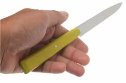 Opinel T001533, Steak Knife Set, Esprit Campagne -Knives and Tools OPT001533 04 opinel tafelmesset esprit campagne opt001533 d4